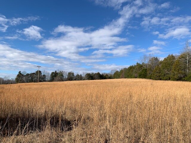 Image for 80 acre Farm on Beaverdam Creek / Offered in two tracts