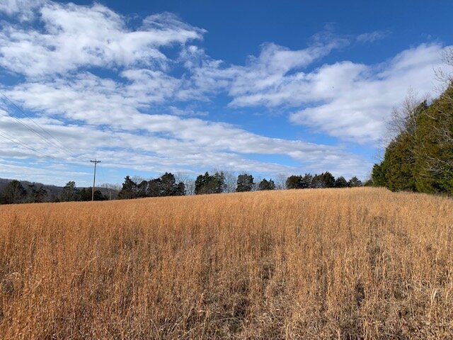 Image for 80 acre Farm on Beaverdam Creek / Offered in two tracts