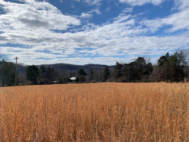 Image for 80 acre Farm on Beaverdam Creek / Offered in two tracts