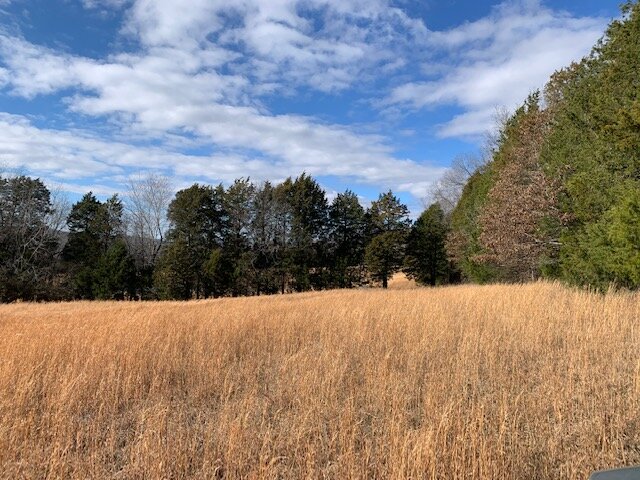 Image for 80 acre Farm on Beaverdam Creek / Offered in two tracts