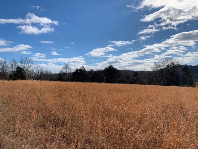 Image for 80 acre Farm on Beaverdam Creek / Offered in two tracts
