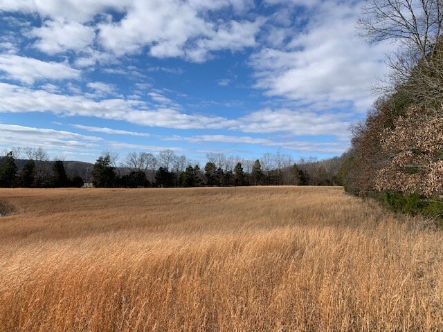Image for 80 acre Farm on Beaverdam Creek / Offered in two tracts