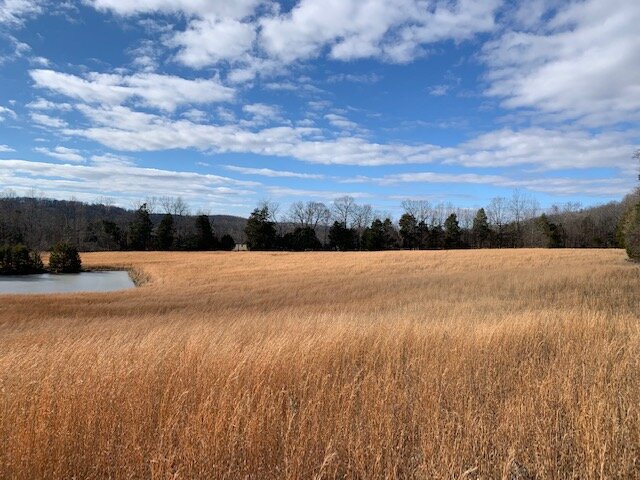 Image for 80 acre Farm on Beaverdam Creek / Offered in two tracts