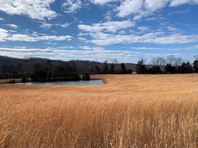Image for 80 acre Farm on Beaverdam Creek / Offered in two tracts