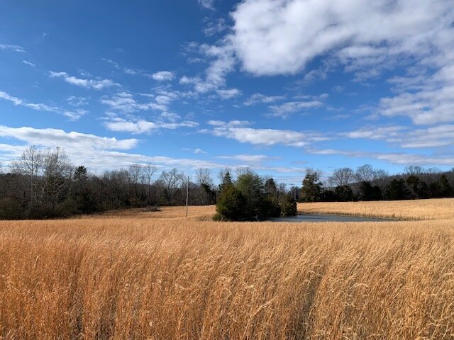 Image for 80 acre Farm on Beaverdam Creek / Offered in two tracts