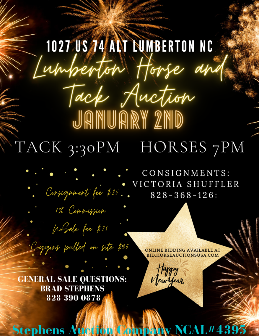 Lumberton Horse Auction, January 2nd