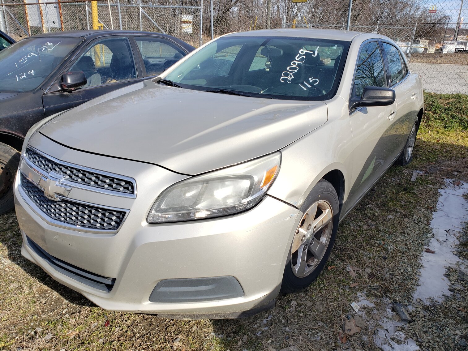 Image for January 2023 Impounds