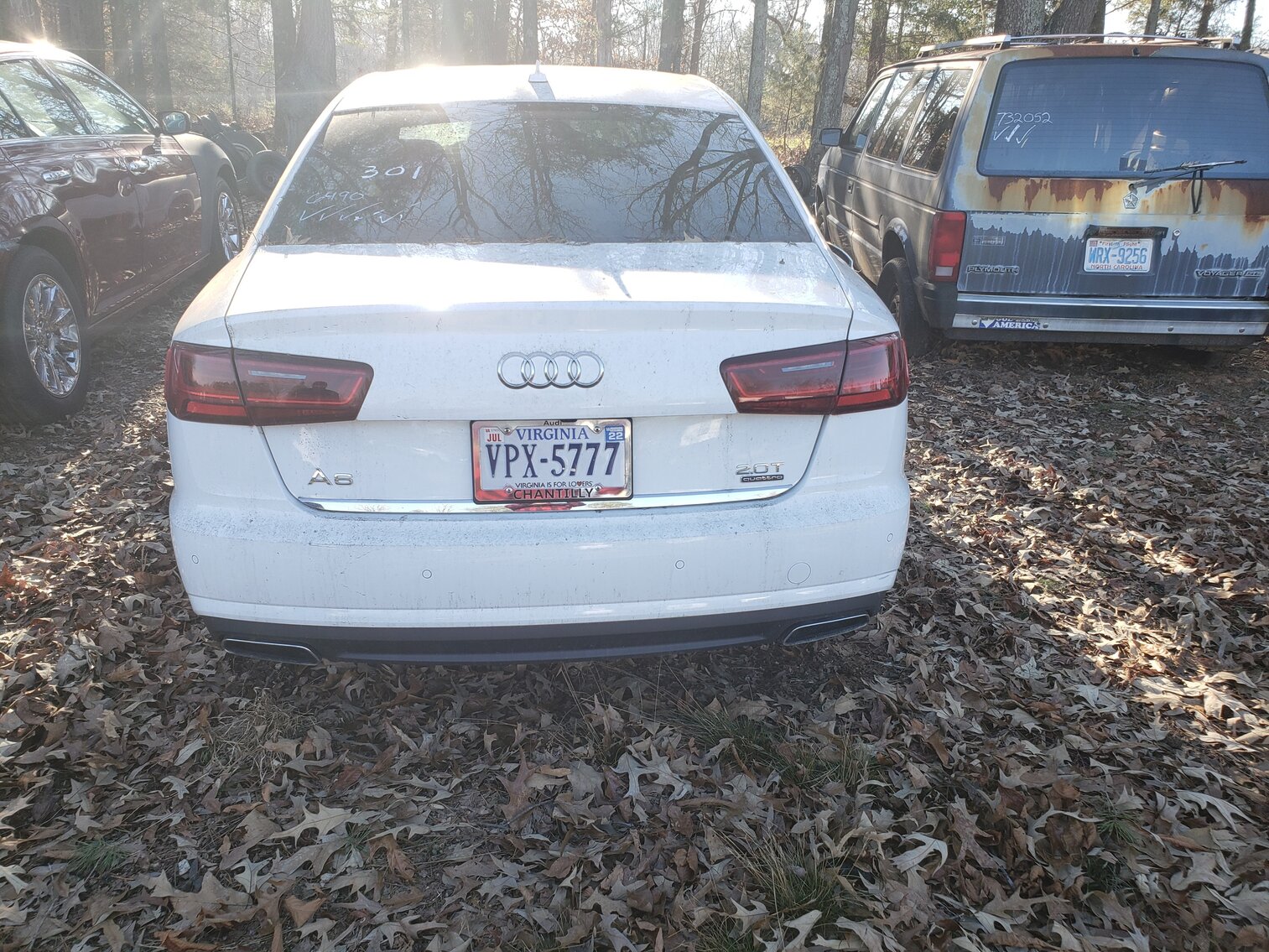 Image for January 2023 Impounds