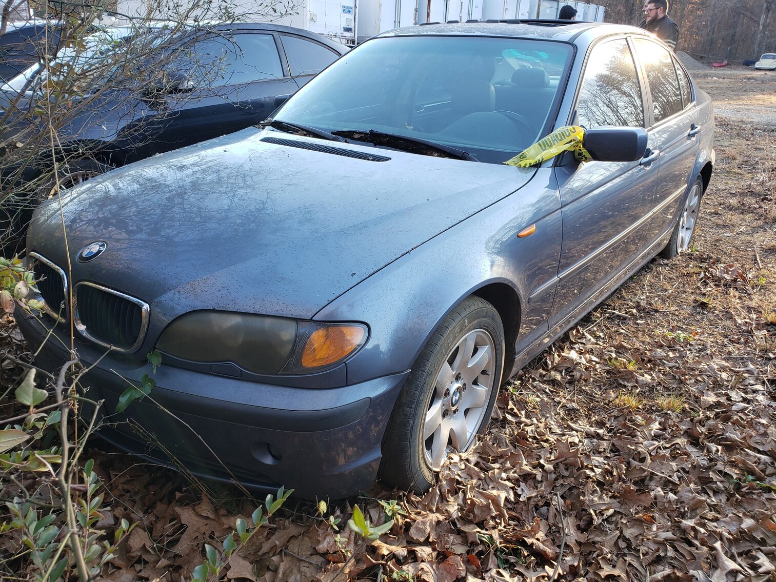 Image for January 2023 Impounds