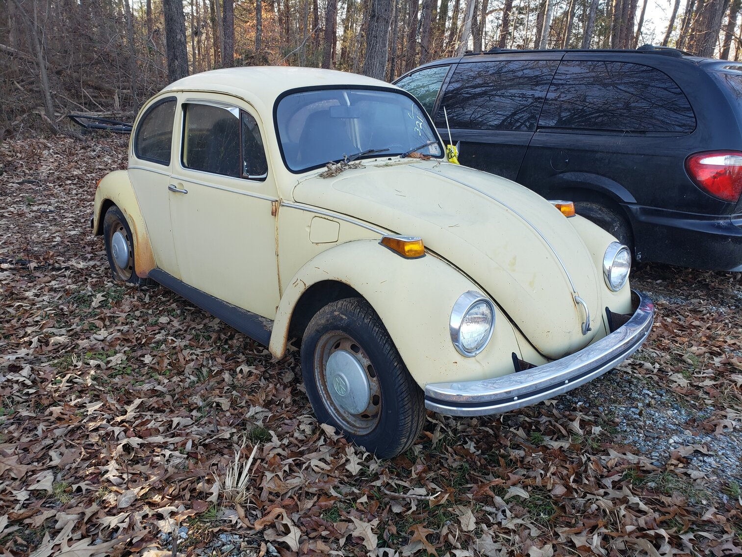 Image for January 2023 Impounds