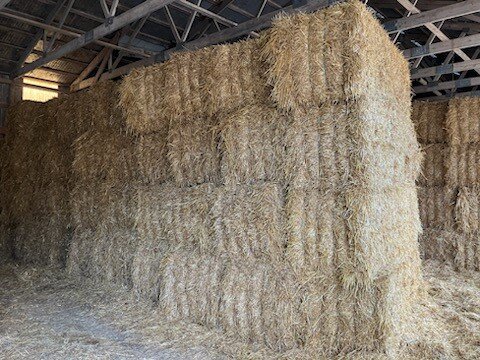 Image for (51) Large 3x3 Square Straw Bales