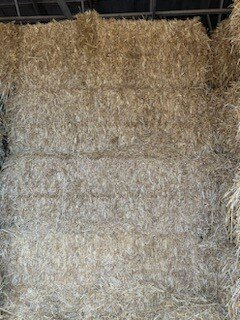 Image for (51) Large 3x3 Square Straw Bales