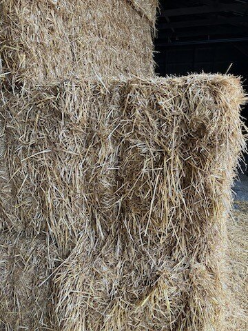 Image for (51) Large 3x3 Square Straw Bales