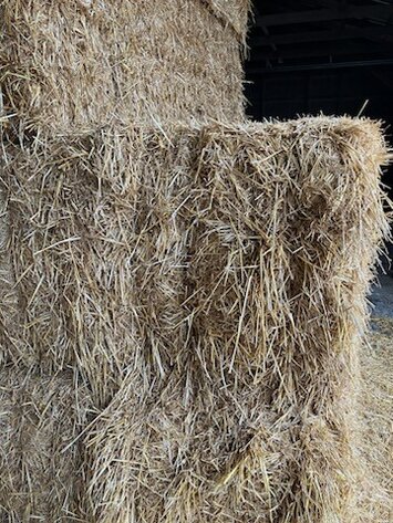 Image for (51) Large 3x3 Square Straw Bales