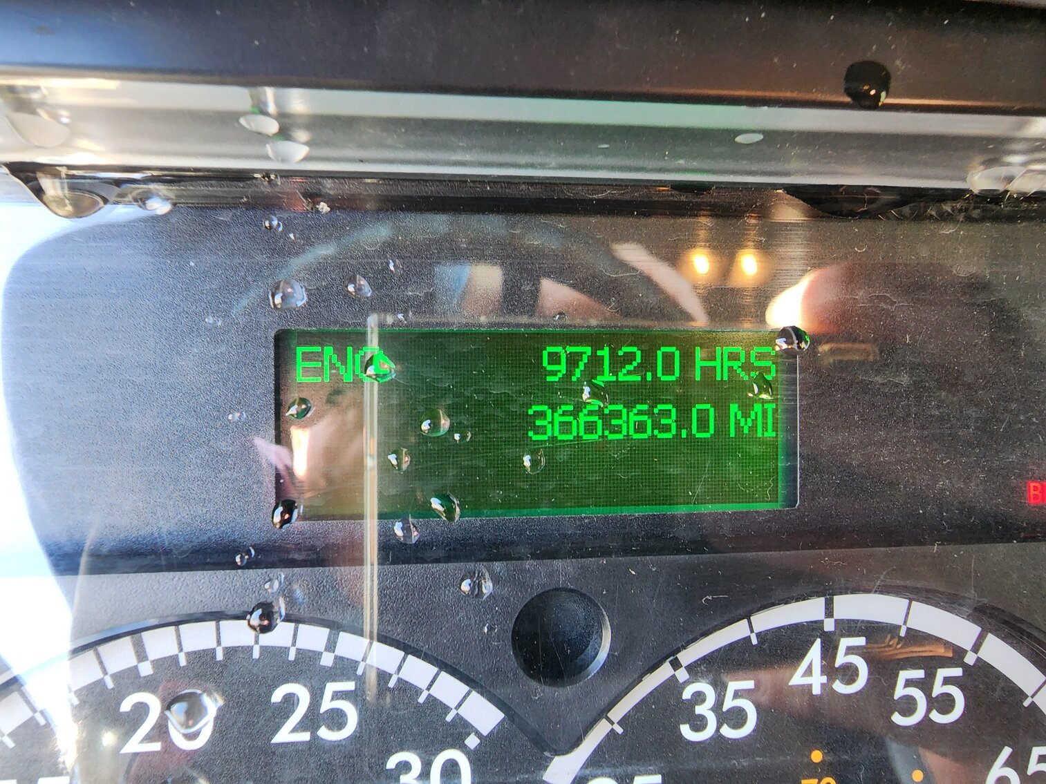 Image for Bank Seized 2019 Freightliner