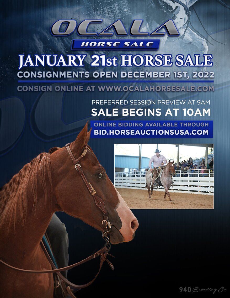 Ocala Horse Sale Winter Sale January 21st Ocala, Florida