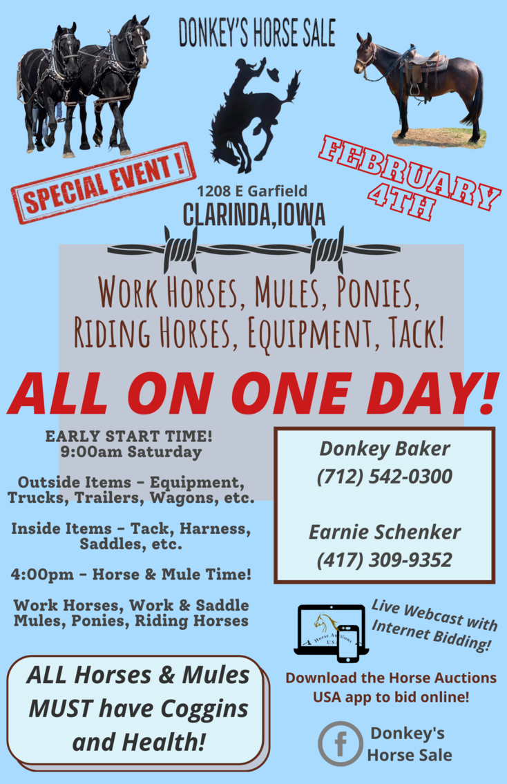 WINTER SPECIAL! Donkey's Horse Sale Draft, Mule, & Equipment Special