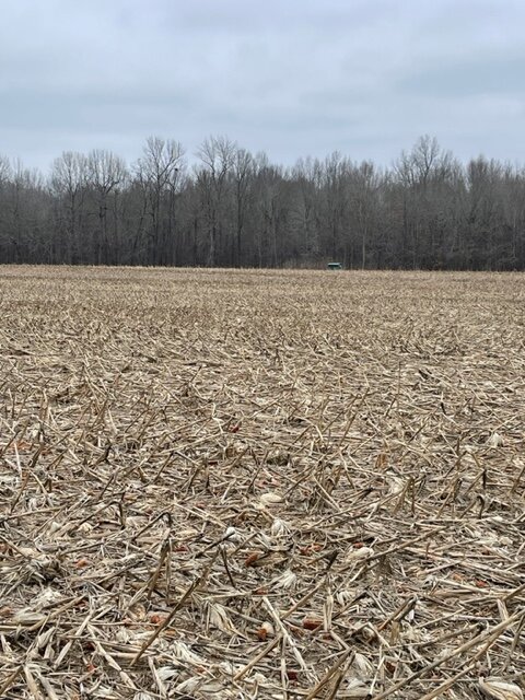 Image for ABSOLUTE ESTATE AUCTION • UNIONVILLE ROAD • BROOKPORT, IL