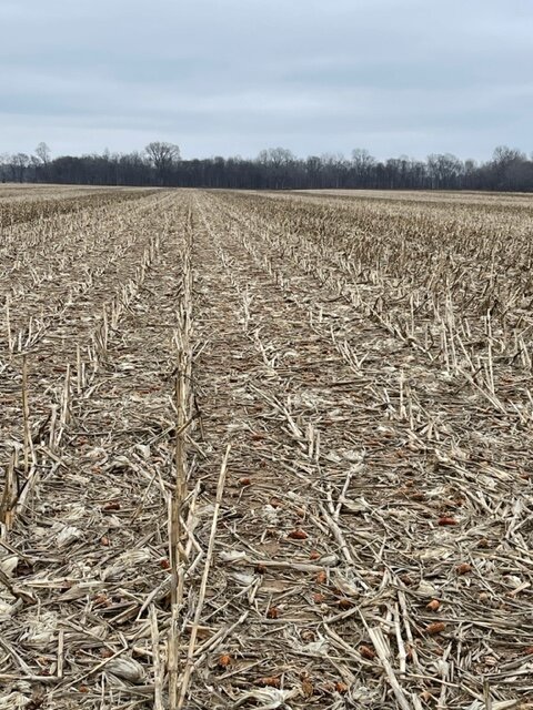 Image for ABSOLUTE ESTATE AUCTION • UNIONVILLE ROAD • BROOKPORT, IL