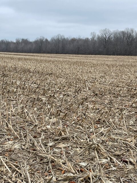 Image for ABSOLUTE ESTATE AUCTION • UNIONVILLE ROAD • BROOKPORT, IL