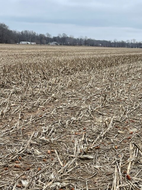 Image for ABSOLUTE ESTATE AUCTION • UNIONVILLE ROAD • BROOKPORT, IL