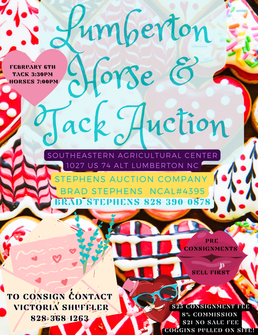 Lumberton Horse Auction, Feb 2023