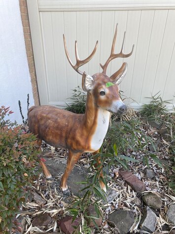 Image for Concrete Statues, Moped, Furniture, Glassware, Household