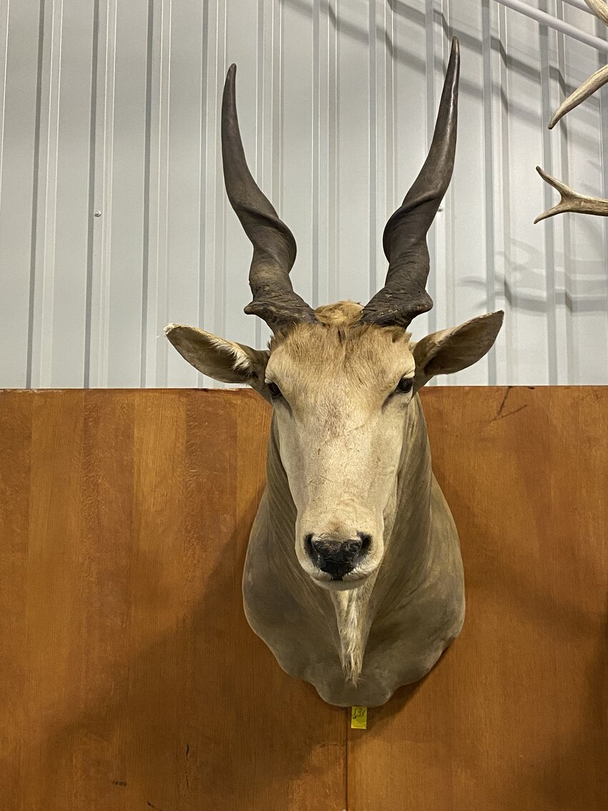 Image for ONLINE CONSIGNMENT AUCTION