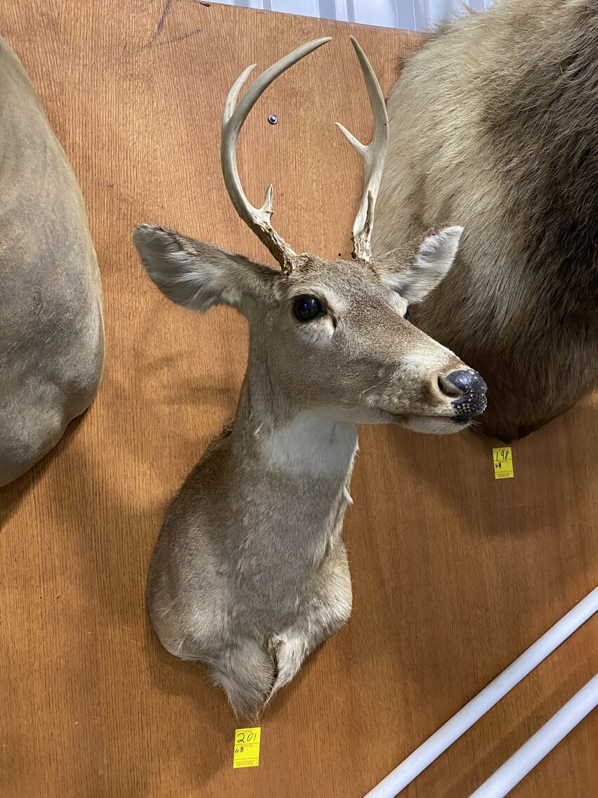 Image for ONLINE CONSIGNMENT AUCTION