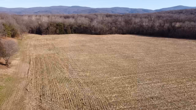 Image for 39.3 +/- Acres of Potential Filled Property w/1,200' +/- of Frontage on US-340 in Elkton, VA--ONLINE ONLY BIDDING!!