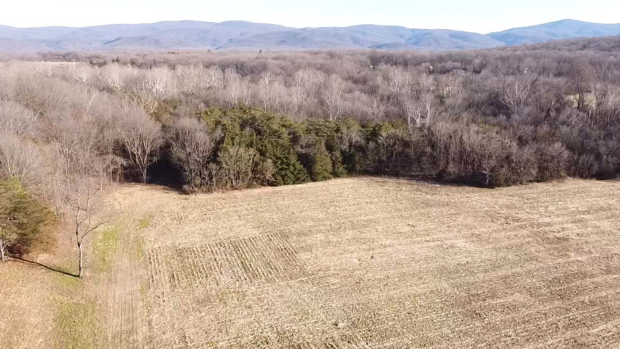 Image for 39.3 +/- Acres of Potential Filled Property w/1,200' +/- of Frontage on US-340 in Elkton, VA--ONLINE ONLY BIDDING!!