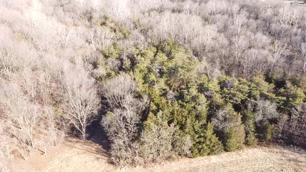 Image for 39.3 +/- Acres of Potential Filled Property w/1,200' +/- of Frontage on US-340 in Elkton, VA--ONLINE ONLY BIDDING!!