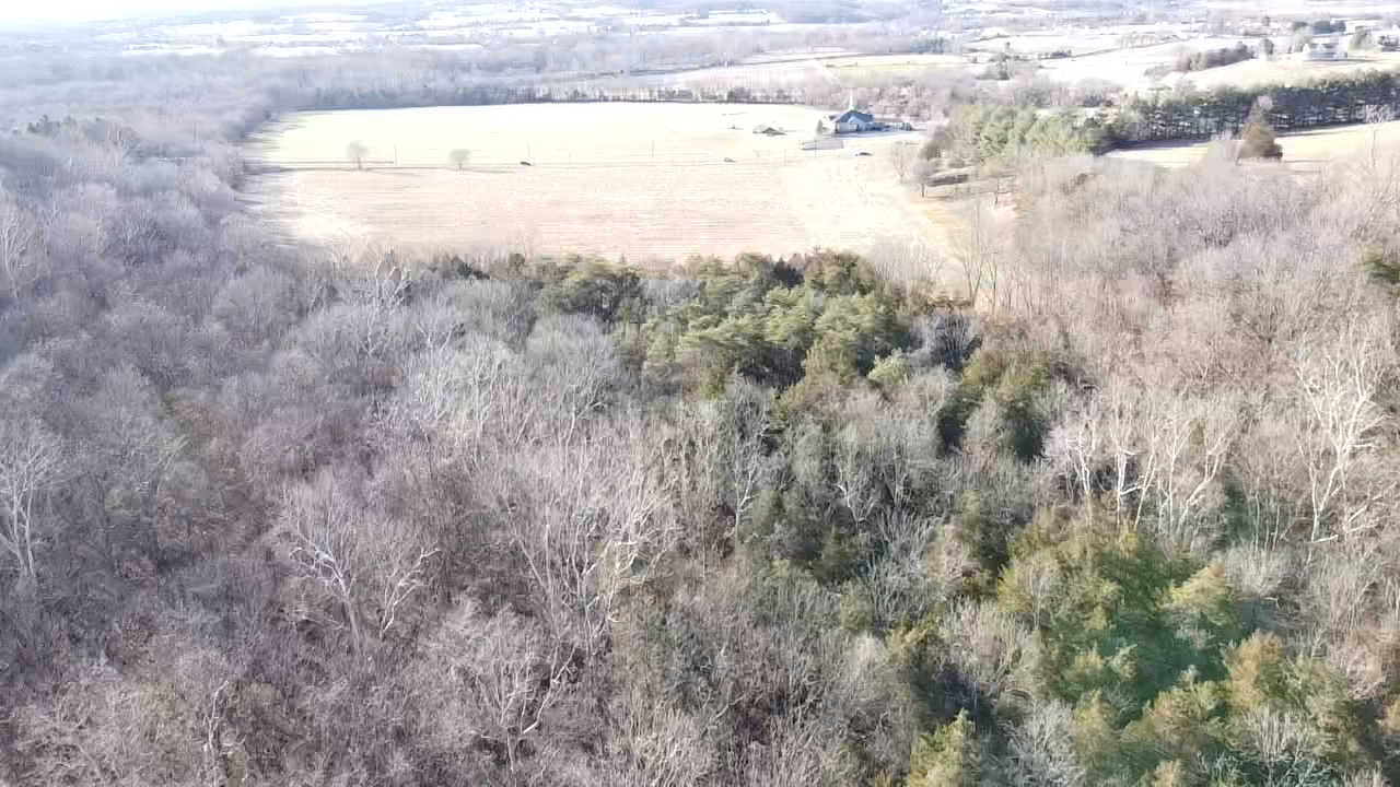 Image for 39.3 +/- Acres of Potential Filled Property w/1,200' +/- of Frontage on US-340 in Elkton, VA--ONLINE ONLY BIDDING!!