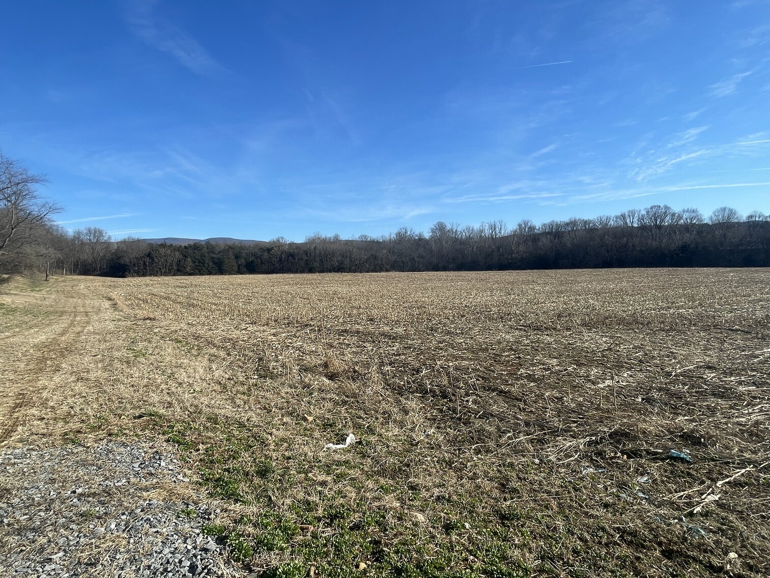 Image for 39.3 +/- Acres of Potential Filled Property w/1,200' +/- of Frontage on US-340 in Elkton, VA--ONLINE ONLY BIDDING!!
