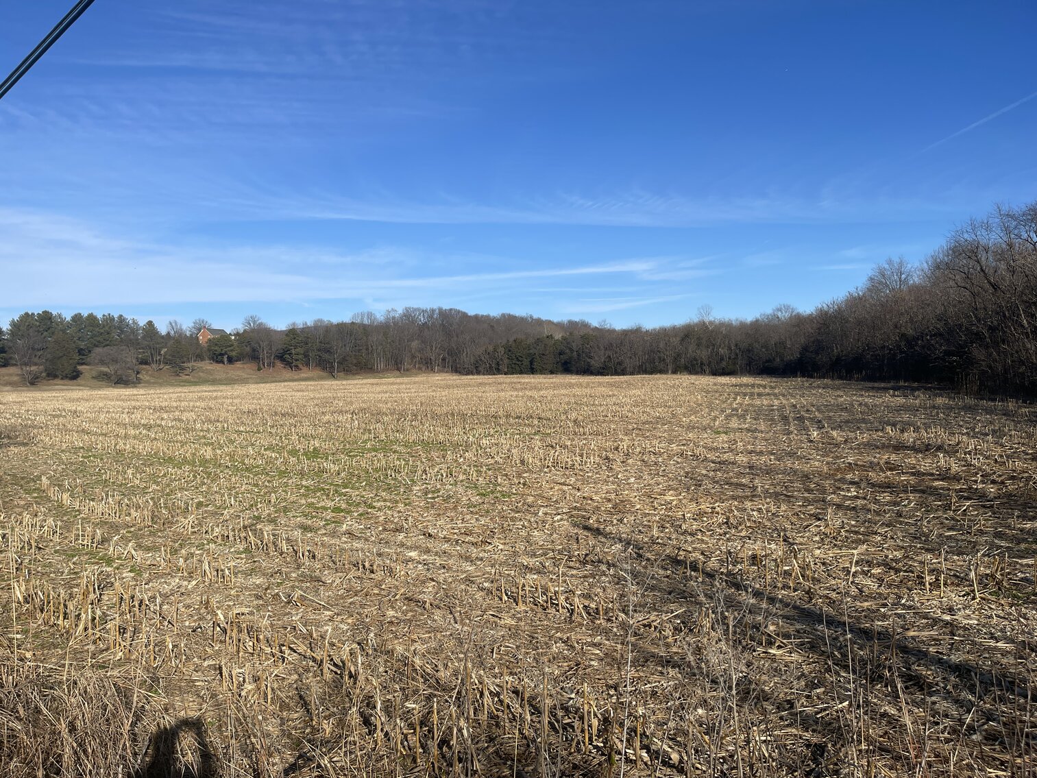 Image for 39.3 +/- Acres of Potential Filled Property w/1,200' +/- of Frontage on US-340 in Elkton, VA--ONLINE ONLY BIDDING!!