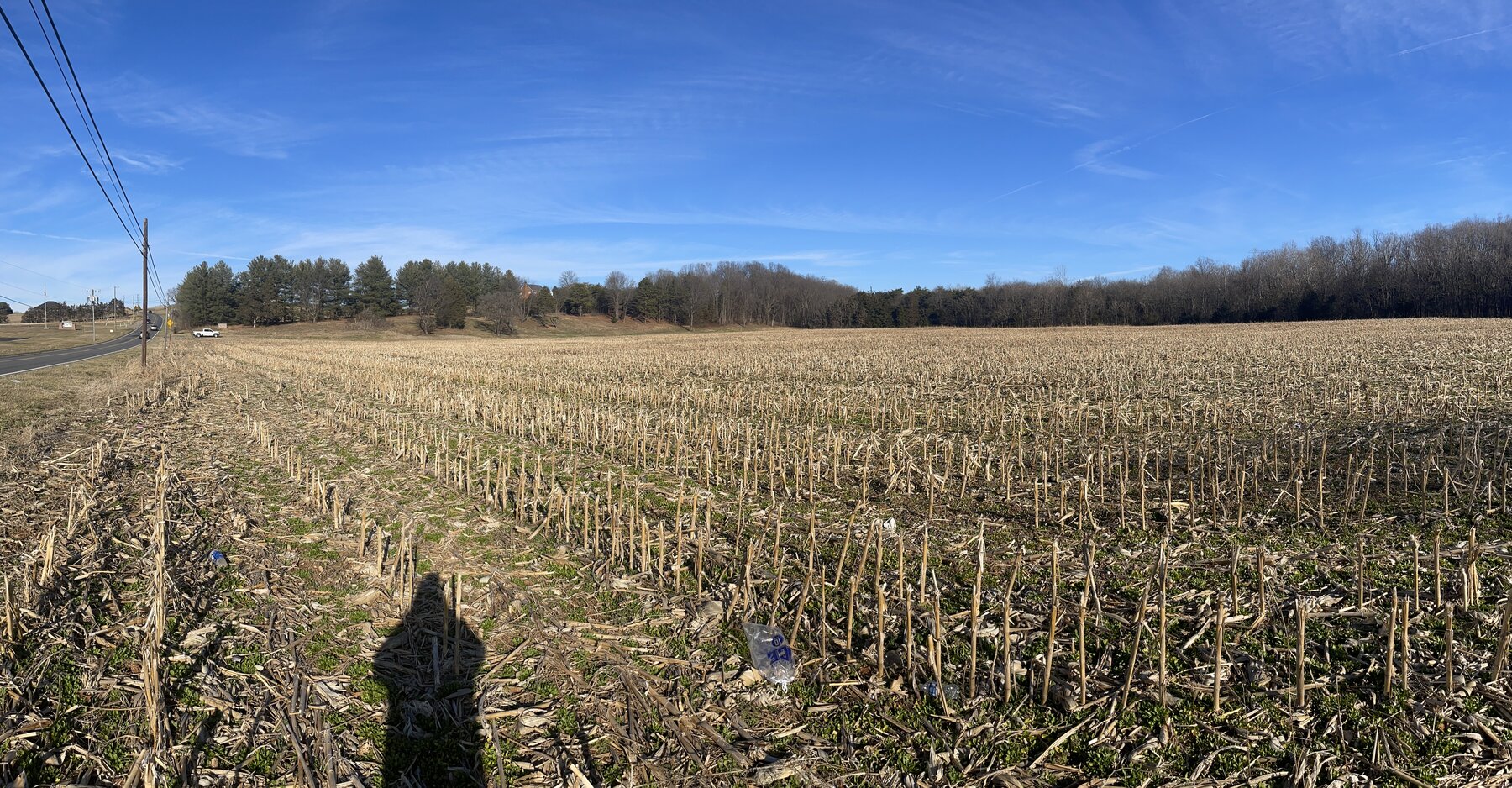 Image for 39.3 +/- Acres of Potential Filled Property w/1,200' +/- of Frontage on US-340 in Elkton, VA--ONLINE ONLY BIDDING!!