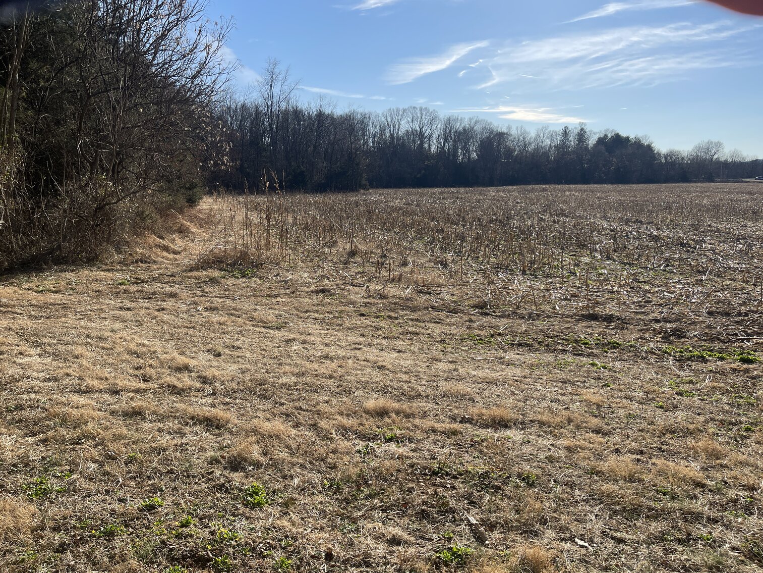 Image for 39.3 +/- Acres of Potential Filled Property w/1,200' +/- of Frontage on US-340 in Elkton, VA--ONLINE ONLY BIDDING!!