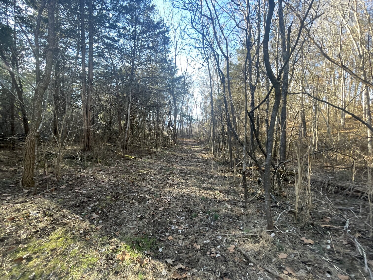 Image for 39.3 +/- Acres of Potential Filled Property w/1,200' +/- of Frontage on US-340 in Elkton, VA--ONLINE ONLY BIDDING!!