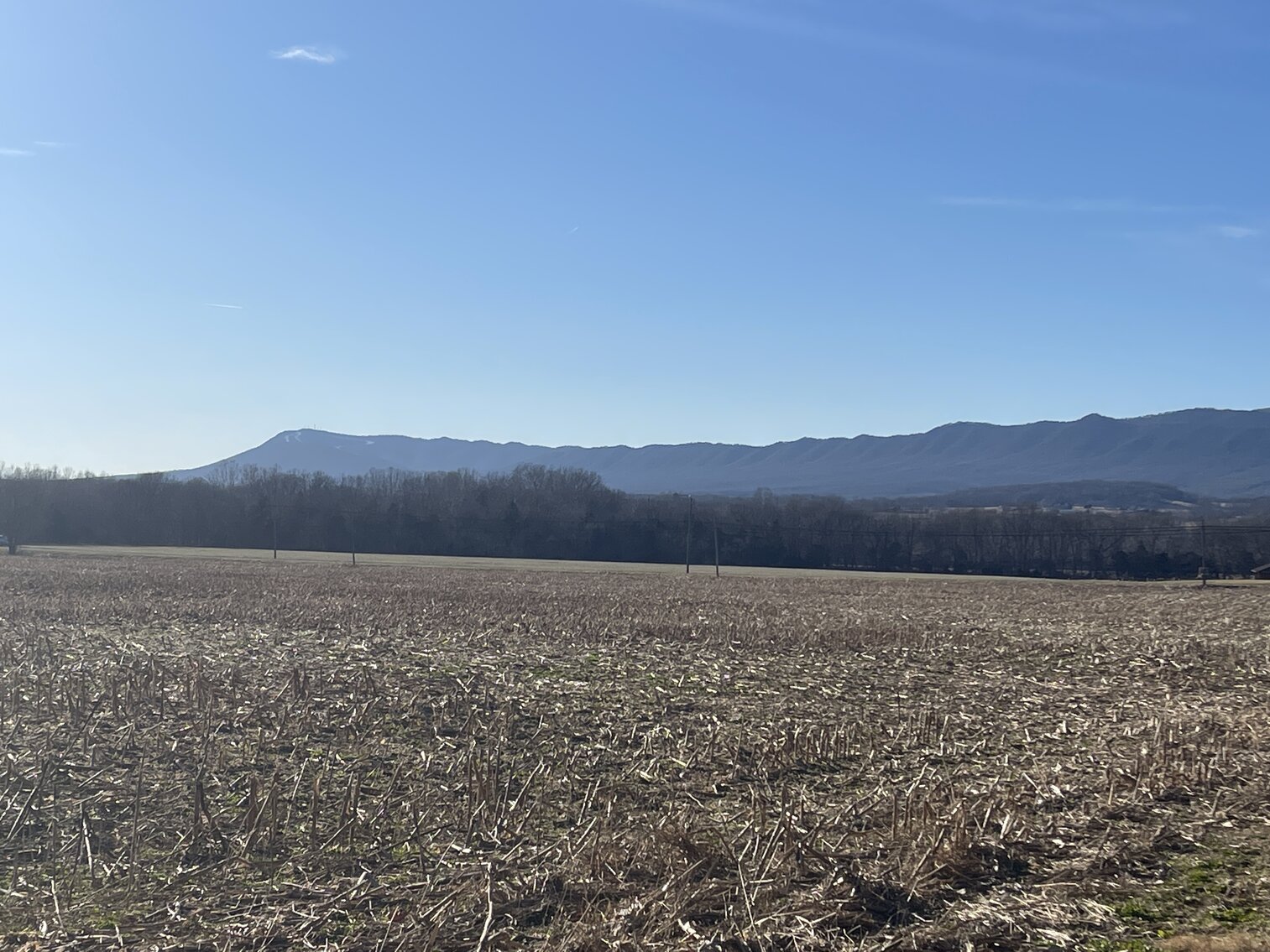 Image for 39.3 +/- Acres of Potential Filled Property w/1,200' +/- of Frontage on US-340 in Elkton, VA--ONLINE ONLY BIDDING!!