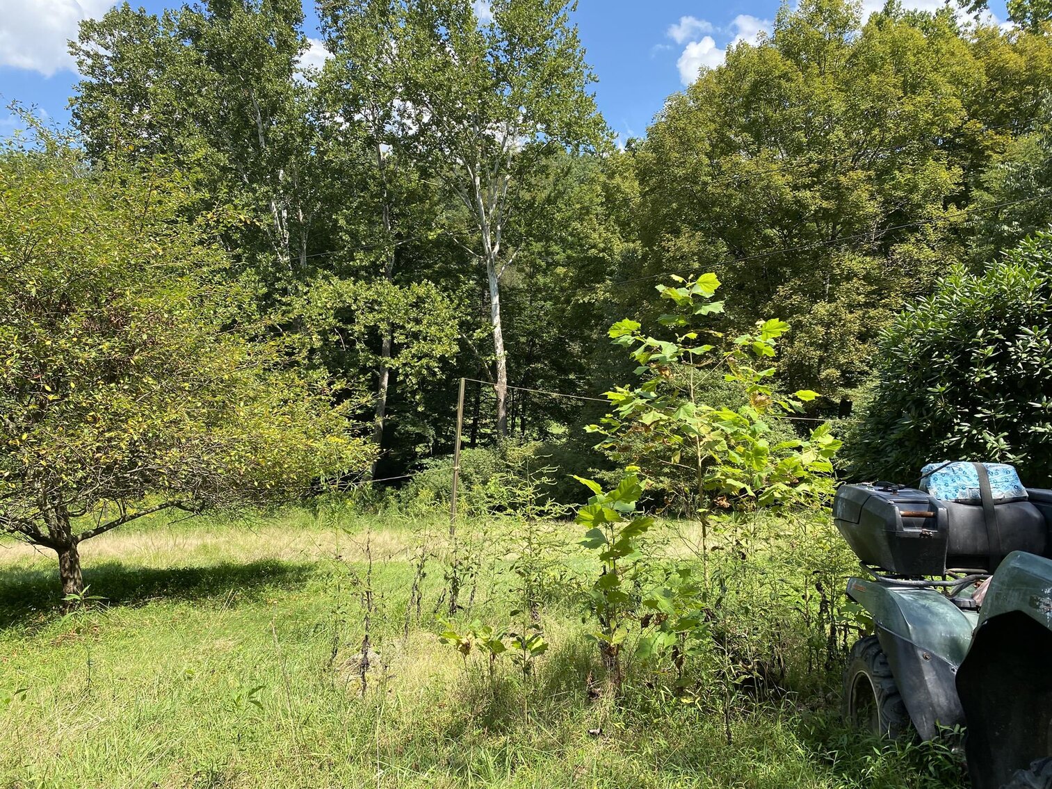 Image for SOLD $59,400 - 2 Acres with Project Home Selling to the Highest Bidder