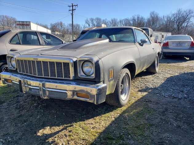 Image for February 2023 Impounds