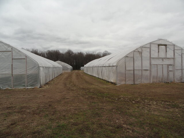 Image for Feb 18, 2023 Farm Equipment  Estate Auction