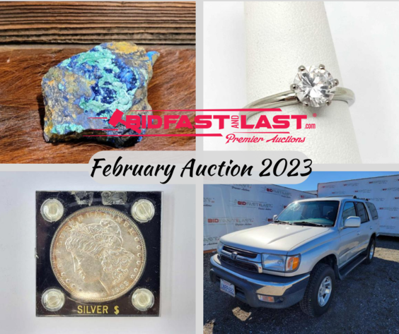 Image for Bid Fast and Last February Auction 2023
