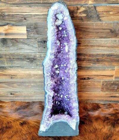 Image for Bid Fast and Last February Auction 2023