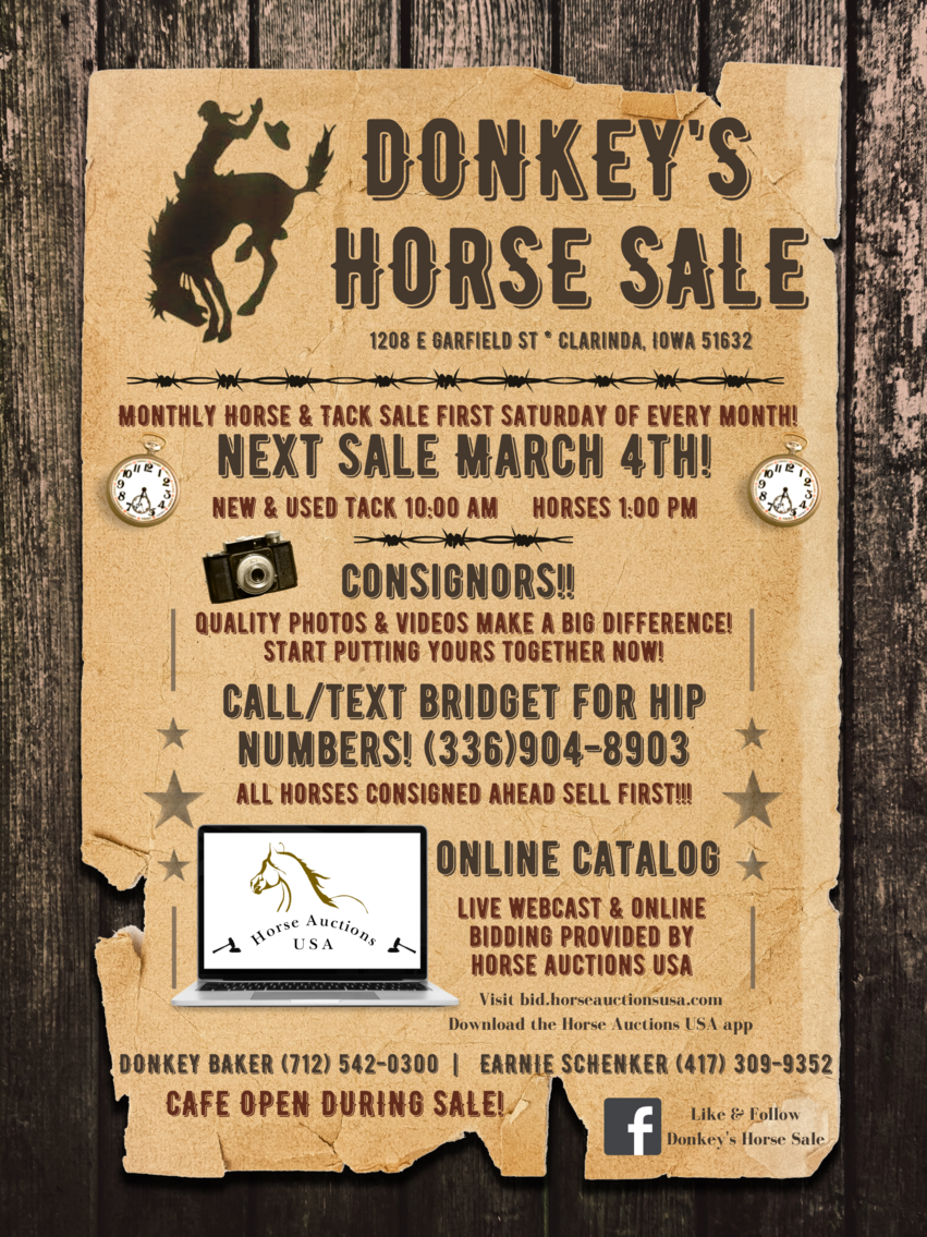 Donkey's Horse Sale March 4th Clarinda, Iowa