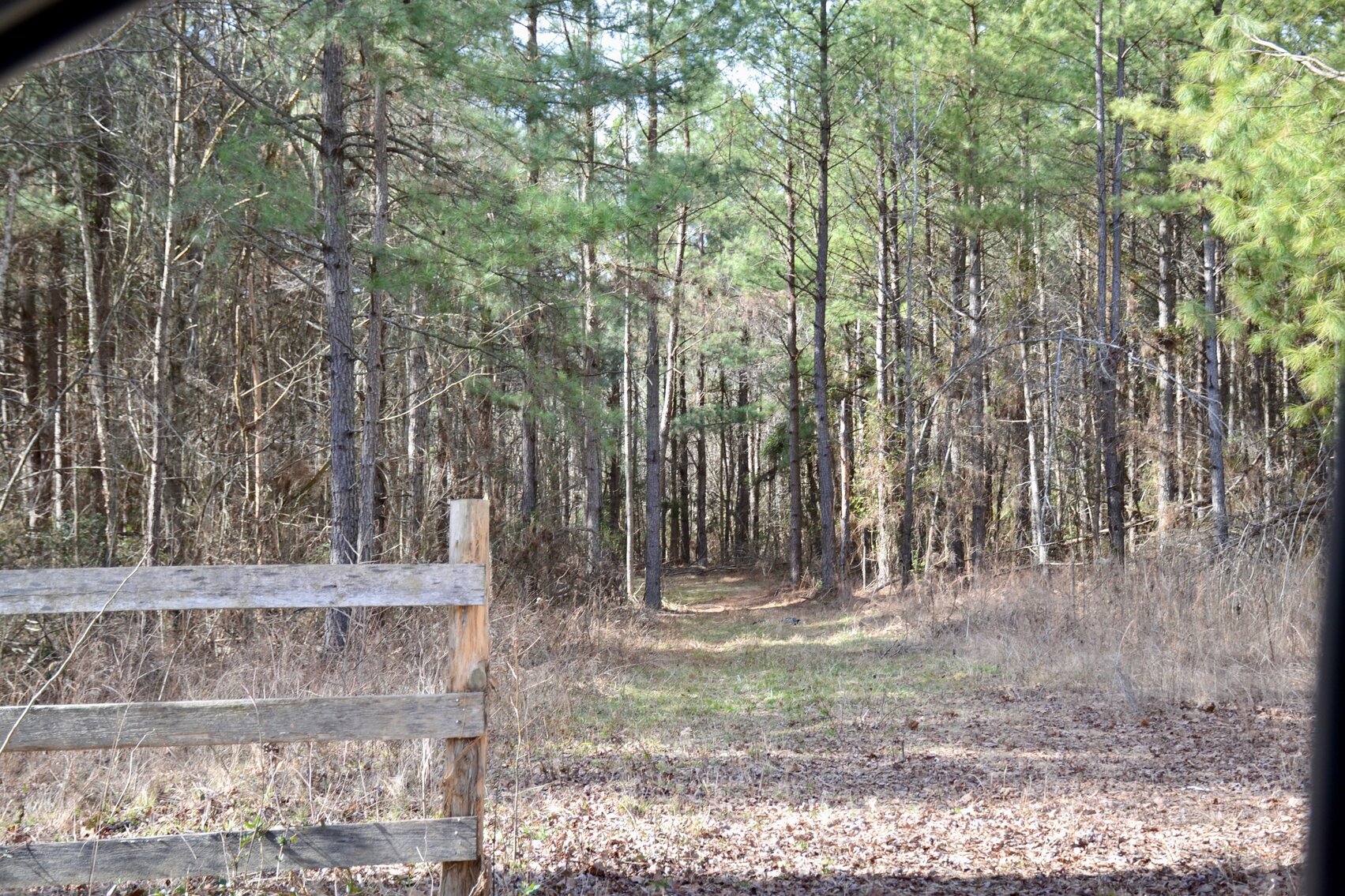 Image for 36.33 +/- Acres of Land w/21 +/- Acres of Timber in Caroline County, VA--ONLINE ONLY BIDDING!!
