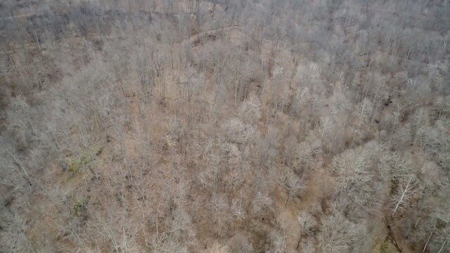 Image for SOLD $137,500 - Home, Barn & Pond on Nearly 90 Acres with Mineral Rights