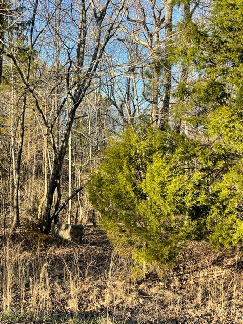 Image for Vacant Lot near Golf Course / Skyview Drive in Centerville