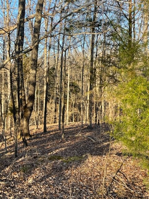 Image for Vacant Lot near Golf Course / Skyview Drive in Centerville