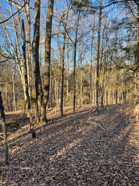 Image for Vacant Lot near Golf Course / Skyview Drive in Centerville